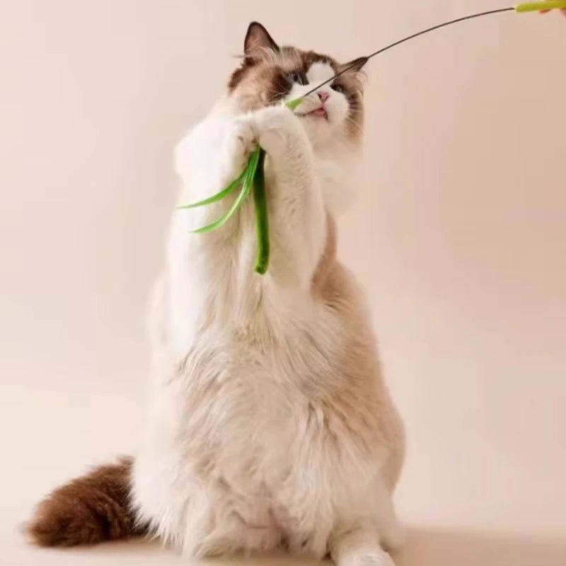 Mozie Cat Feather Teasing Wand – Interactive Play Stick with Feather & Grass Tip - Mozie