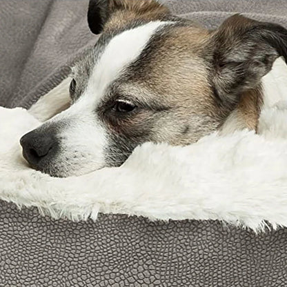 Cloud-Soft Cotton Pet Cushion for Indoor Dogs & Cats - Mozie