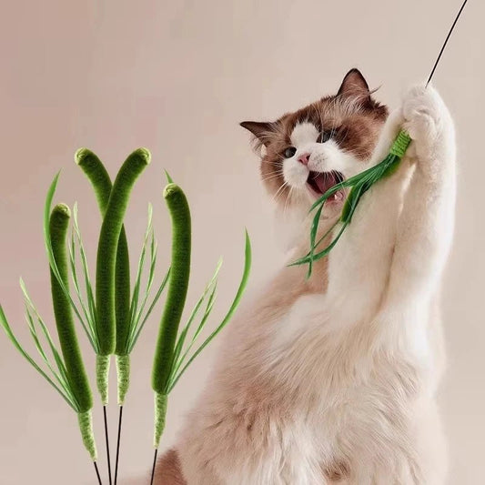 Mozie Cat Feather Teasing Wand – Interactive Play Stick with Feather & Grass Tip - Mozie