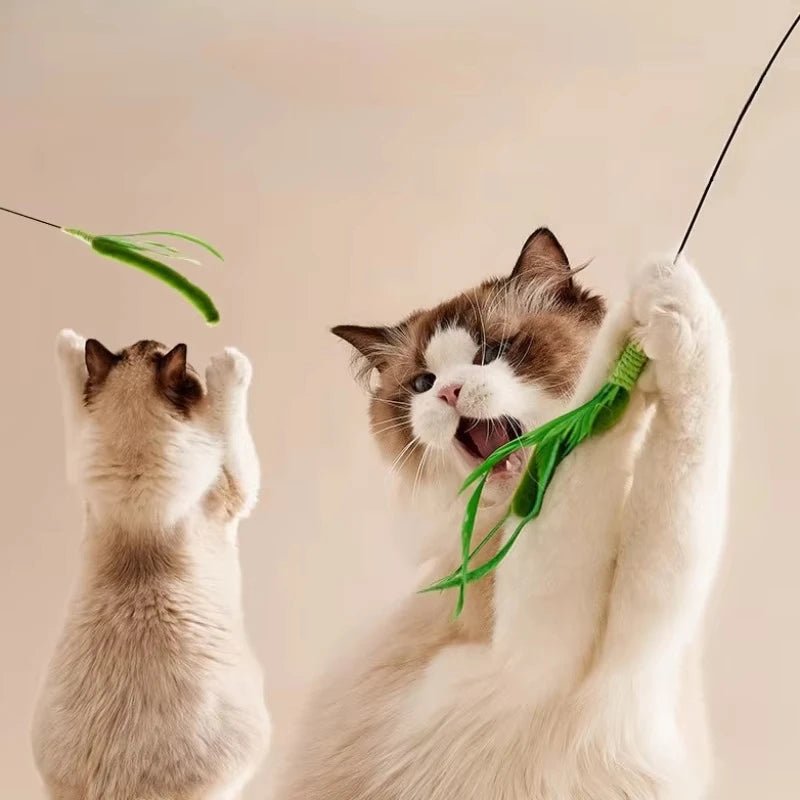 Mozie Cat Feather Teasing Wand – Interactive Play Stick with Feather & Grass Tip - Mozie