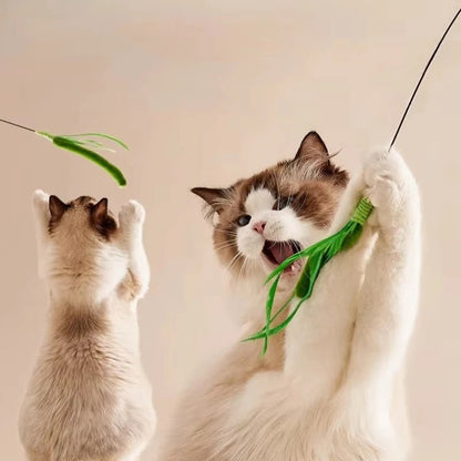 Mozie Cat Feather Teasing Wand – Interactive Play Stick with Feather & Grass Tip - Mozie